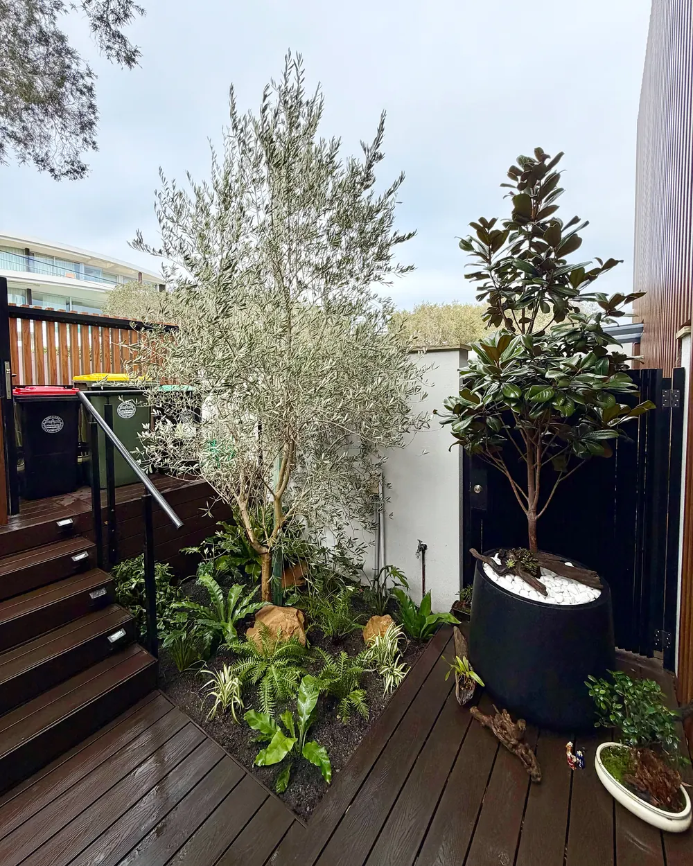Courtyard feature planting after Garden Art