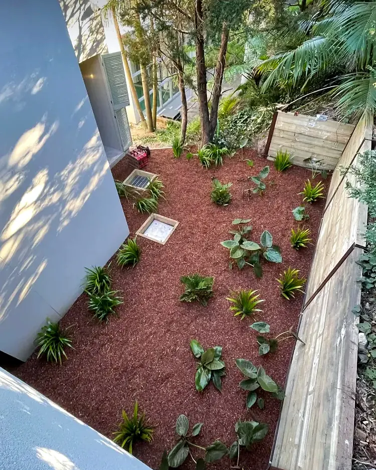 Tropical side garden before
