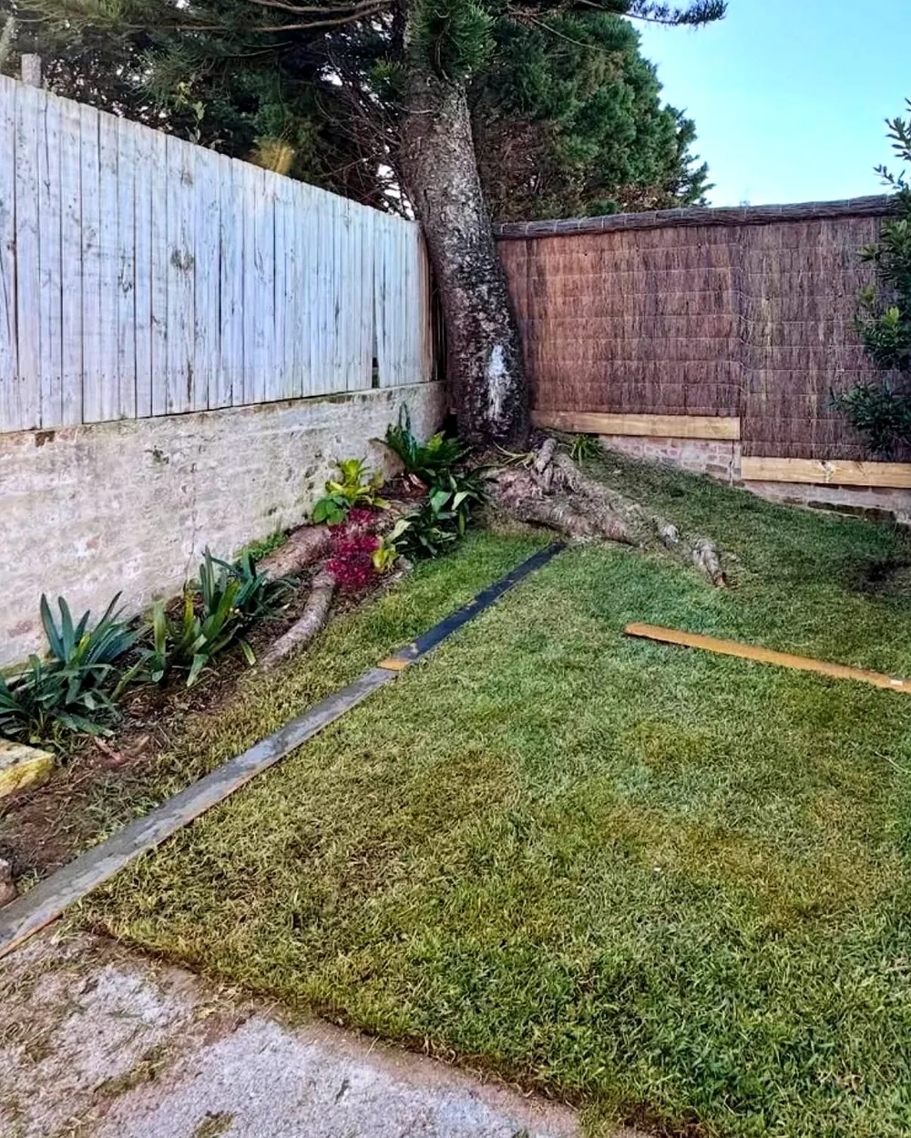 Backyard garden bed before