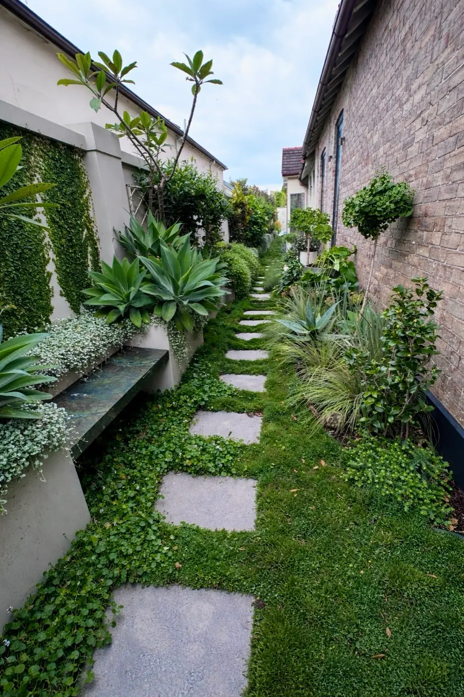 Side garden with stepping stones, ground cover and layered tropical planting